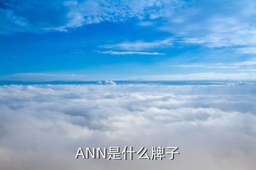 ann是哪里的服裝，ANN是一個什么節目哪個國家的...